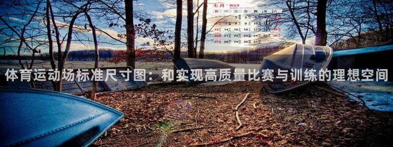 体育运动场标准尺寸图：和实现高质量比赛与训练的理想空间