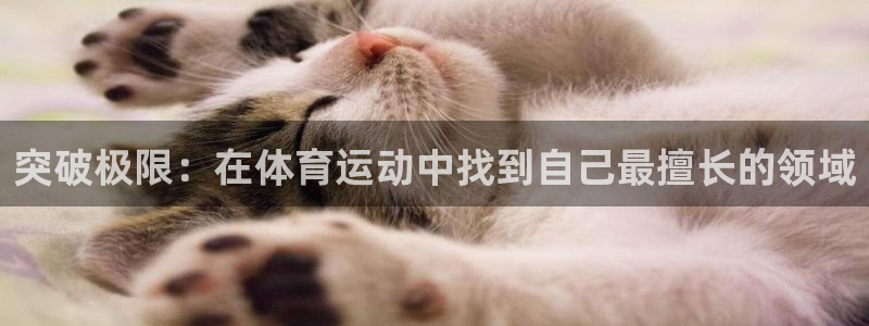 突破极限：在体育运动中找到自己最擅长的领域