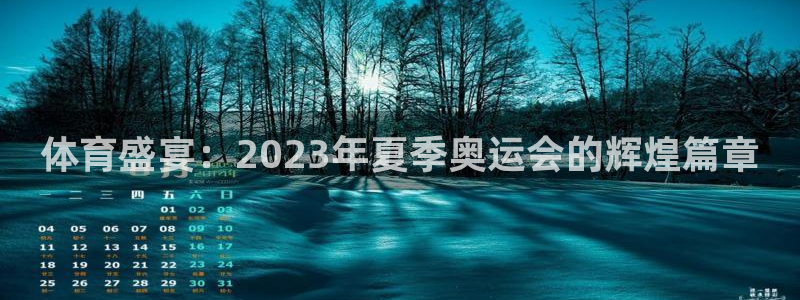 体育盛宴：2023年夏季奥运会的辉煌篇章