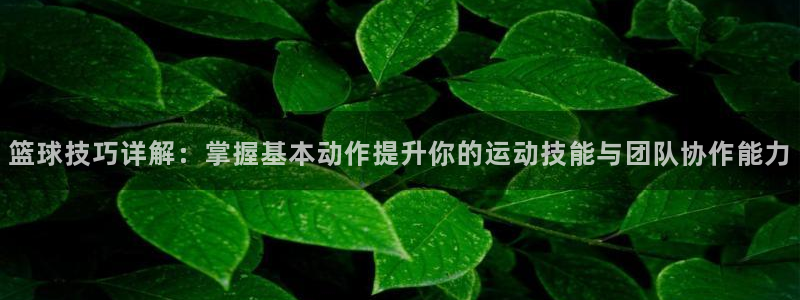 篮球技巧详解：掌握基本动作提升你的运动技能与团队协作能力