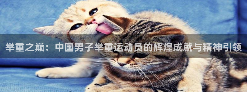 举重之巅：中国男子举重运动员的辉煌成就与精神引领
