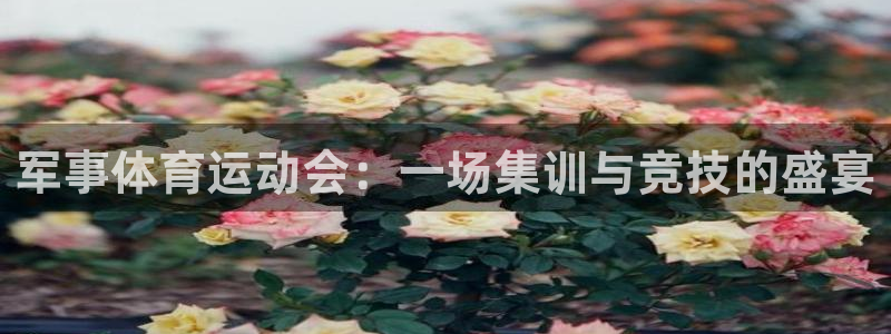 军事体育运动会：一场集训与竞技的盛宴