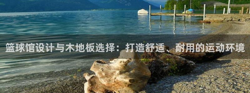 篮球馆设计与木地板选择：打造舒适、耐用的运动环境