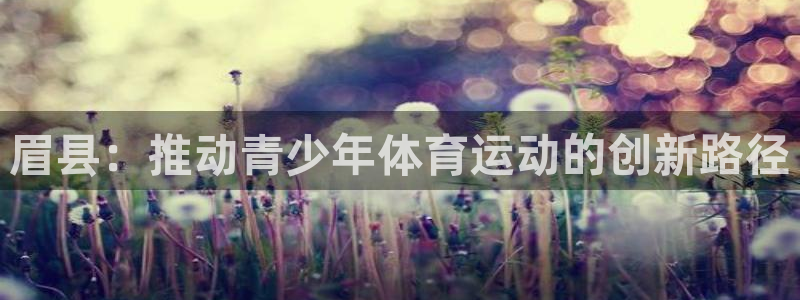 眉县：推动青少年体育运动的创新路径