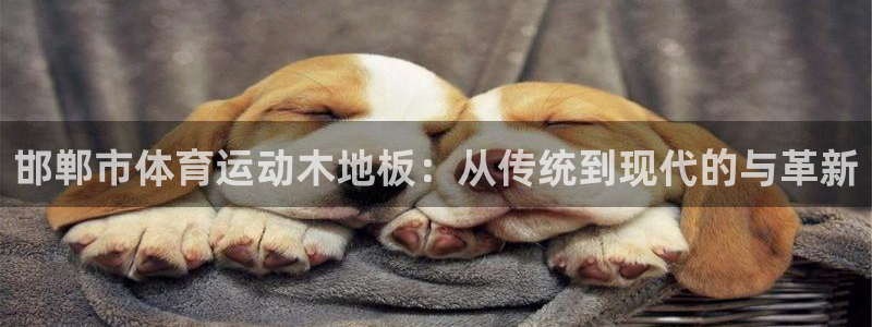 邯郸市体育运动木地板：从传统到现代的与革新