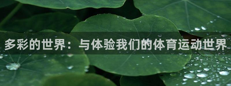 多彩的世界：与体验我们的体育运动世界